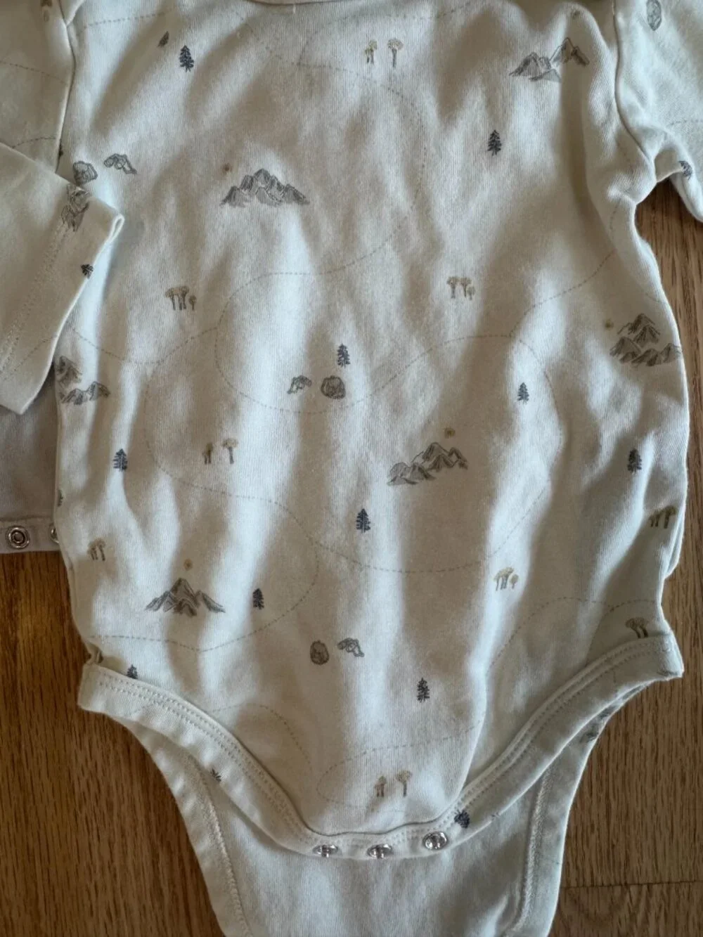 Colored Organics Mountain Long Sleeve Onesie Bundle | Size 12–18 Months